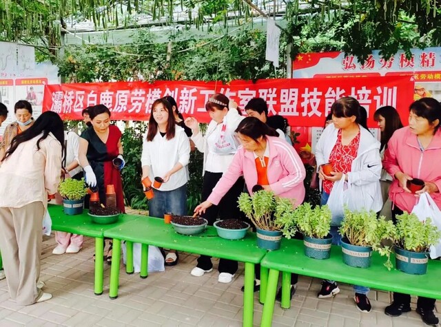 微信图片_20240607155651.jpg 微信图片_20240607155651.jpg