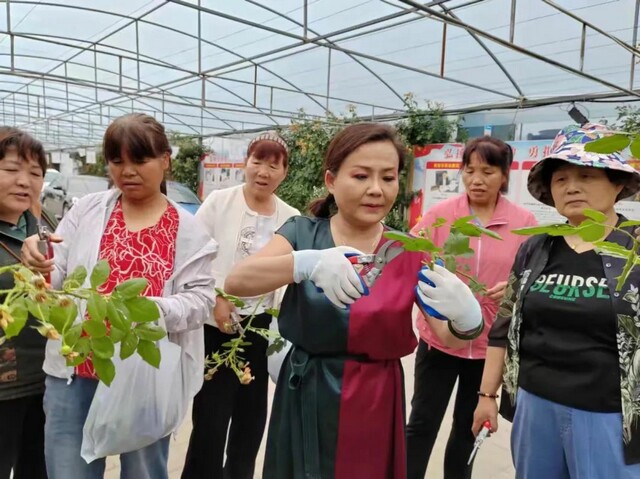 微信图片_20240607155726.jpg 微信图片_20240607155726.jpg