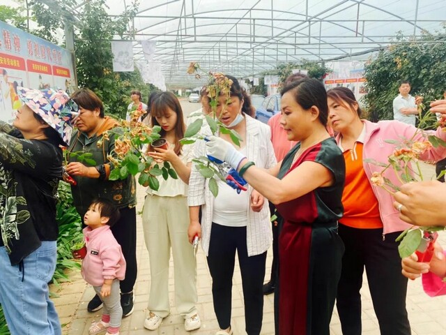 微信图片_20240607155732.jpg 微信图片_20240607155732.jpg