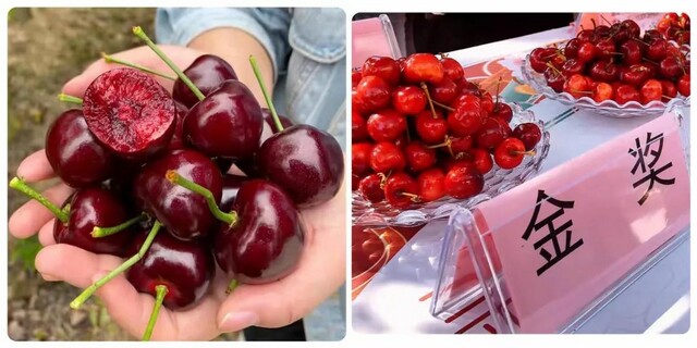 微信图片_20240711170833.jpg 微信图片_20240711170833.jpg